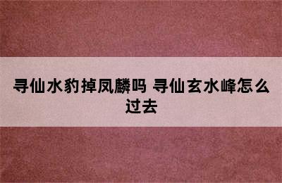 寻仙水豹掉凤麟吗 寻仙玄水峰怎么过去